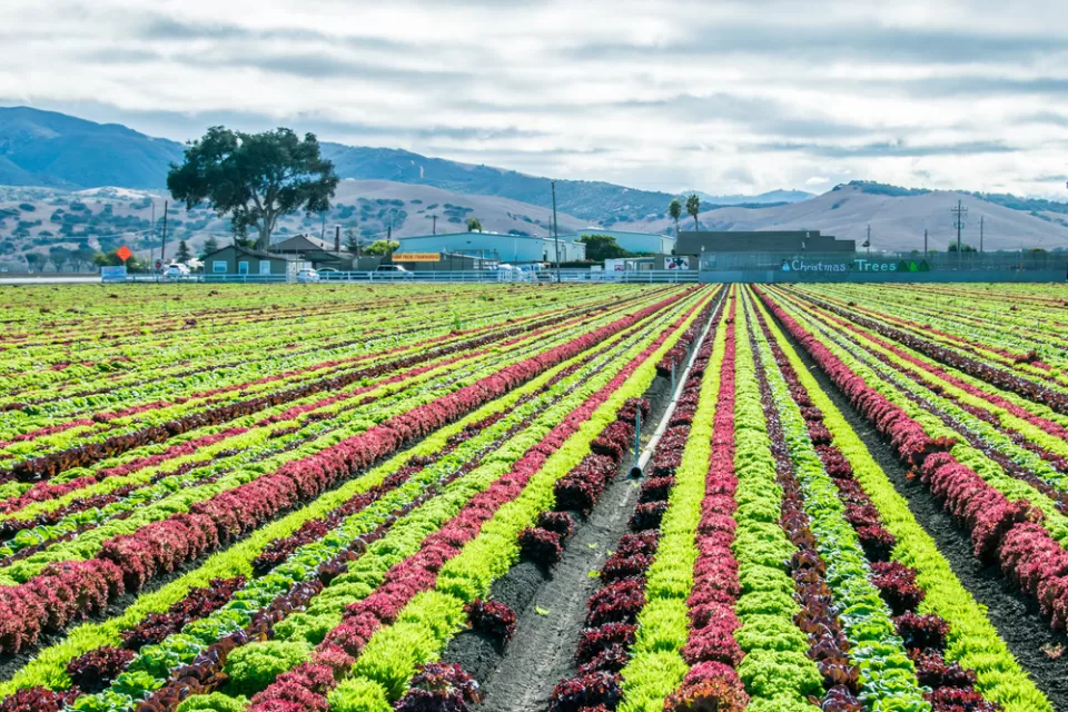 Central Valley